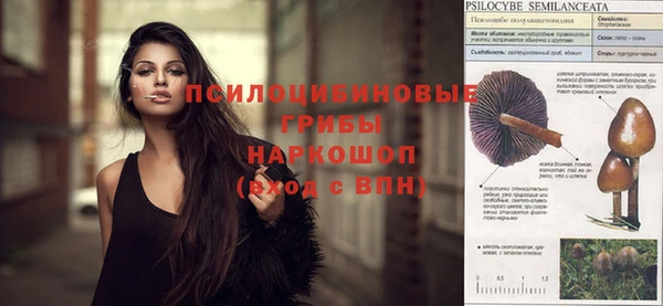 эйфоретик Майский