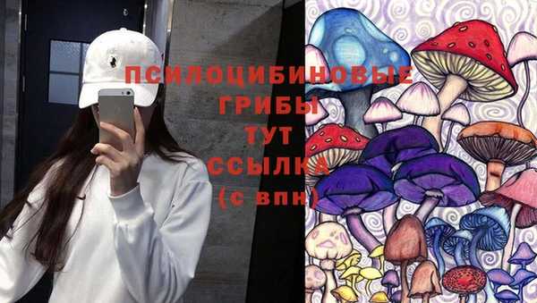 стафф Магас